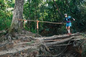 BIB: 
                            <button type="button" onclick="openModal(27753375)" class="btn btn-primary btn-sm float-right btn-popup" data-toggle="modal" data-target=".modal-high-quality">
                        <i class="fas fa-shopping-cart"></i> Add to Cart
                    </button>
                                            <button type="button" onclick="isThisMe(27753375, true)" class="btn btn-success btn-sm float-right btn-popup btn-isme hidden" data-toggle="tooltip" data-placement="bottom" title="นี่คือรูปของคุณใช่ไหม คลิกที่นี่เพื่อเอาเข้าอัลบั้ม">
                        <i class="fas fa-plus"></i> Add to album
                    </button>
                    <button type="button" onclick="isThisMe(27753375, false)" class="btn btn-warning btn-sm float-right btn-popup btn-isnotme hidden">
                        <i class="fas fa-ban"></i> Remove from album
                    </button>